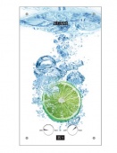 Газовый проточный водонагреватель Zanussi GWH 10 Fonte Glass Lime — фото, характеристики, купить в NOJABRSK-CLIMBO