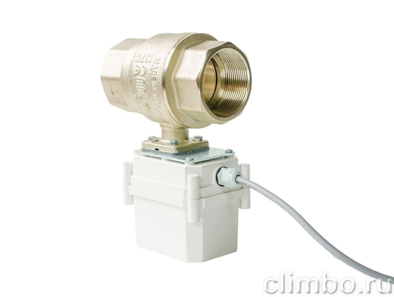 Кран с электроприводом PROFESSIONAL 12V ENOLGAS 1 ¼” — фото товара