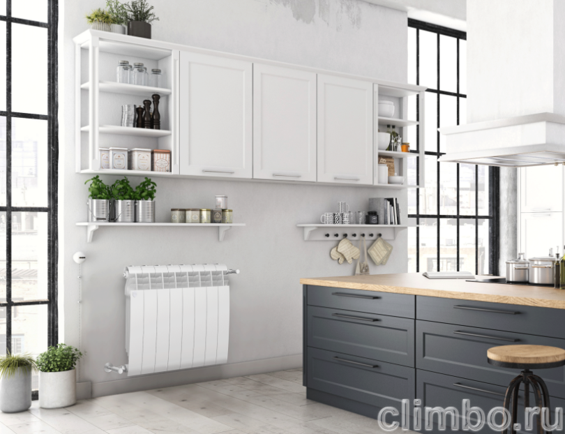 Радиатор Royal Thermo BiLiner 500 Bianco Traffico - 10 секц. — фото товара